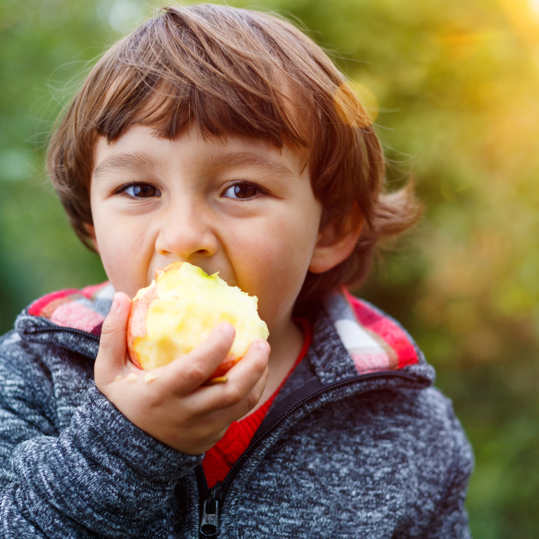 food-insecurity-copy-northern-virginia-family-service